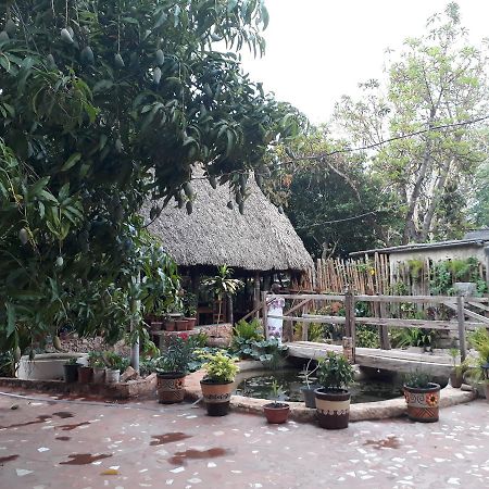 Bed and Breakfast El Chac Mool Santa Elena Exteriér fotografie