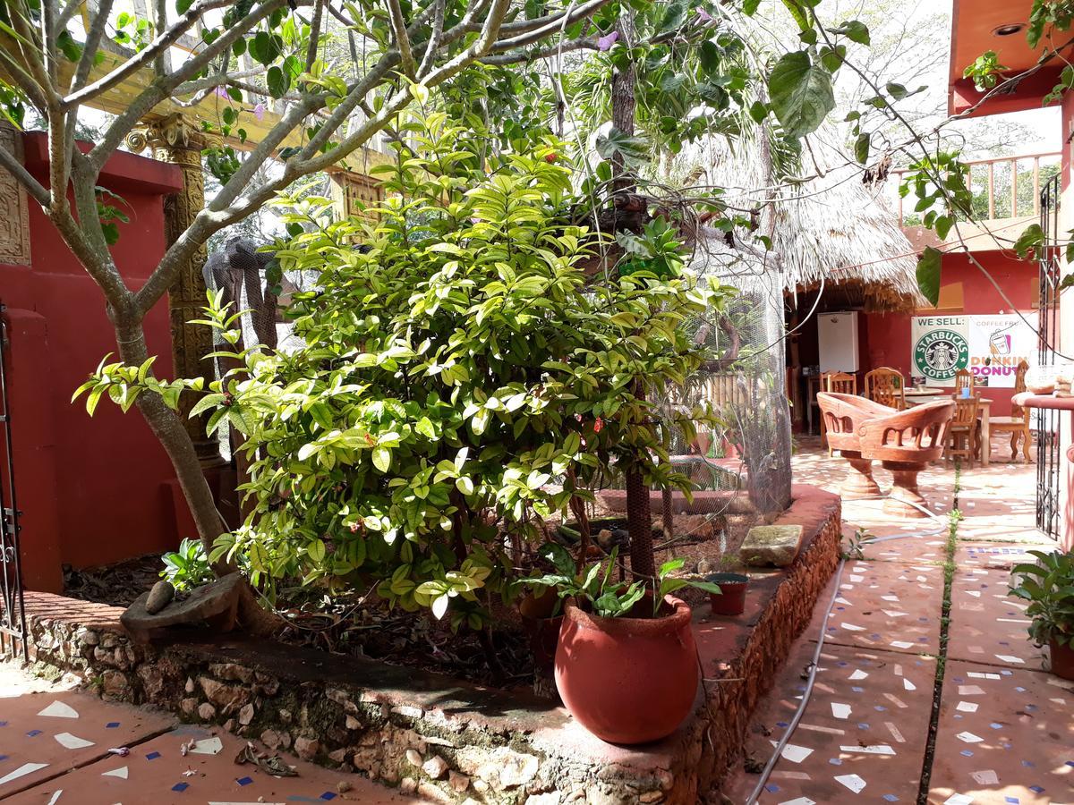 Bed and Breakfast El Chac Mool Santa Elena Exteriér fotografie