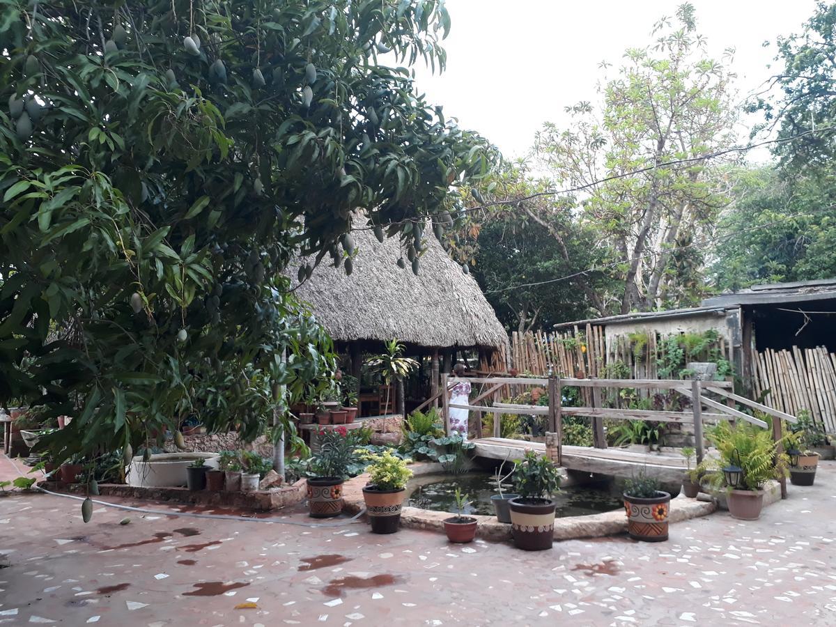 Bed and Breakfast El Chac Mool Santa Elena Exteriér fotografie